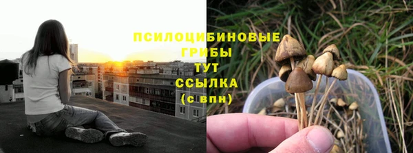 соль курить ск Горно-Алтайск