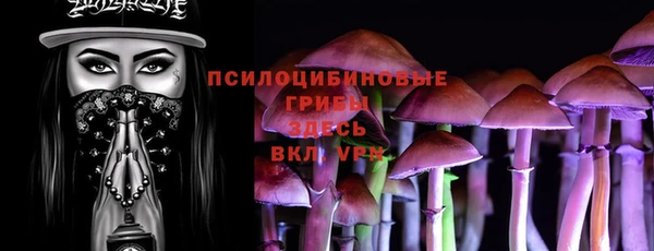 соль курить ск Горно-Алтайск