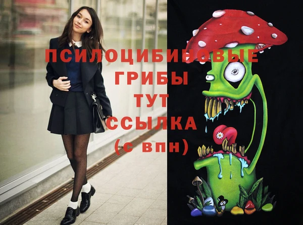 соль курить ск Горно-Алтайск