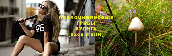 крисы Вязьма
