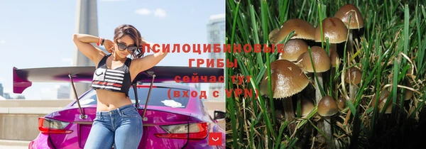 соль курить ск Горно-Алтайск