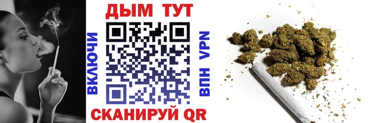 купить   Кадников  Бошки Шишки семена 